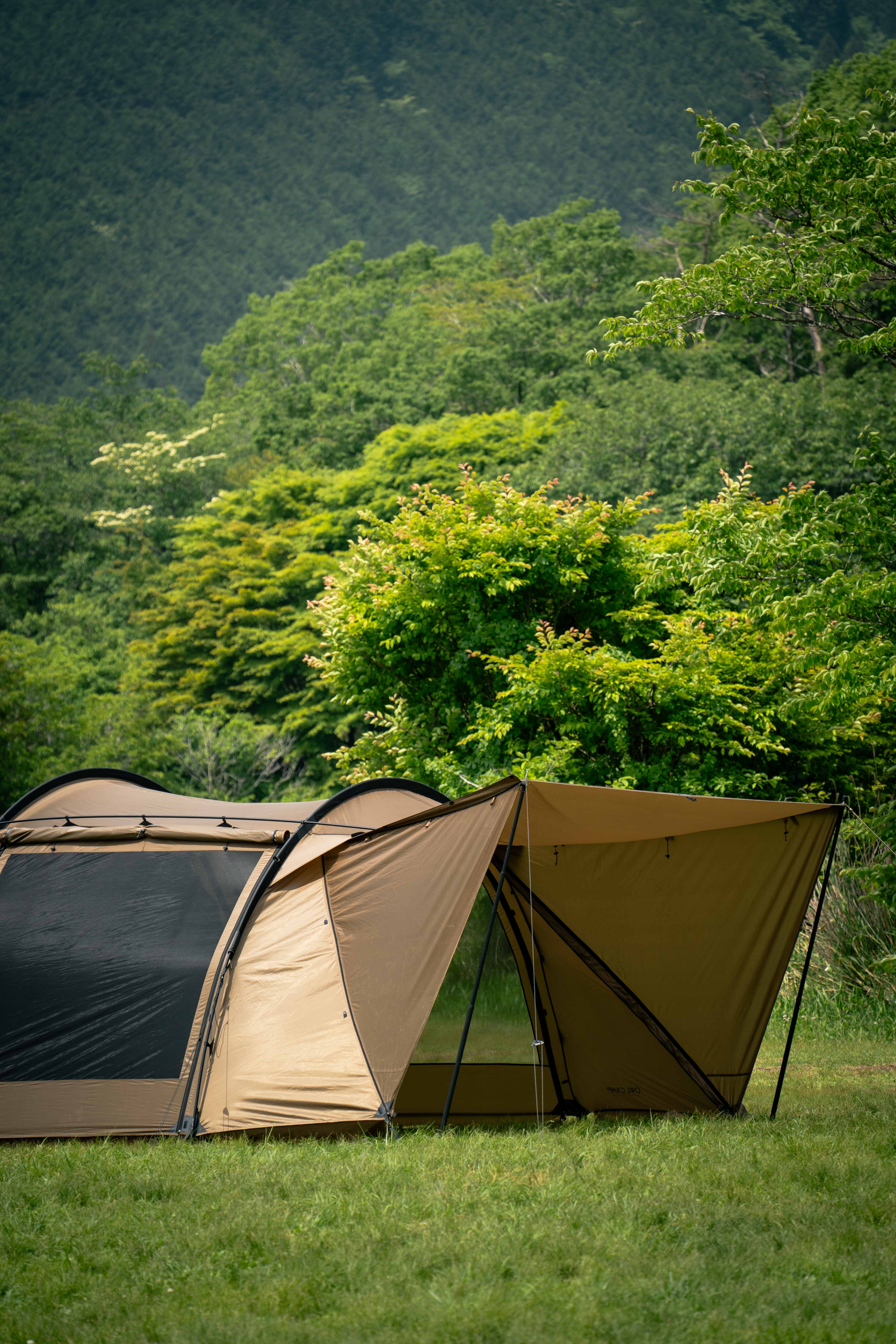 OWL CAMP
